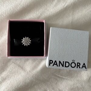 Pandora snowflake charm